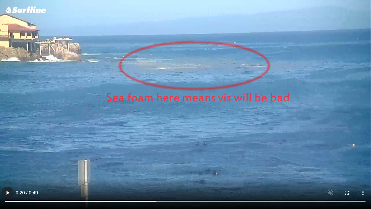 Sea foam at the north end of San Carlos Beach
